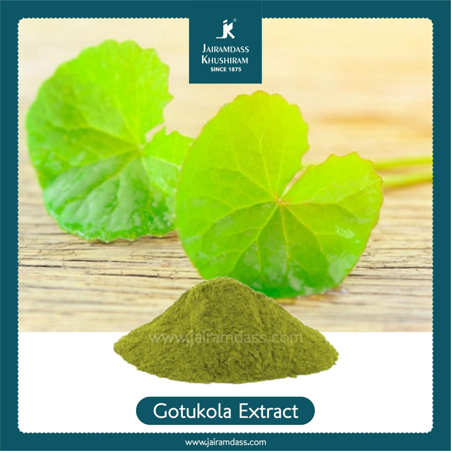 Manufacturer Of Gotu Kola Extract Centella Asiatica Jairamdass