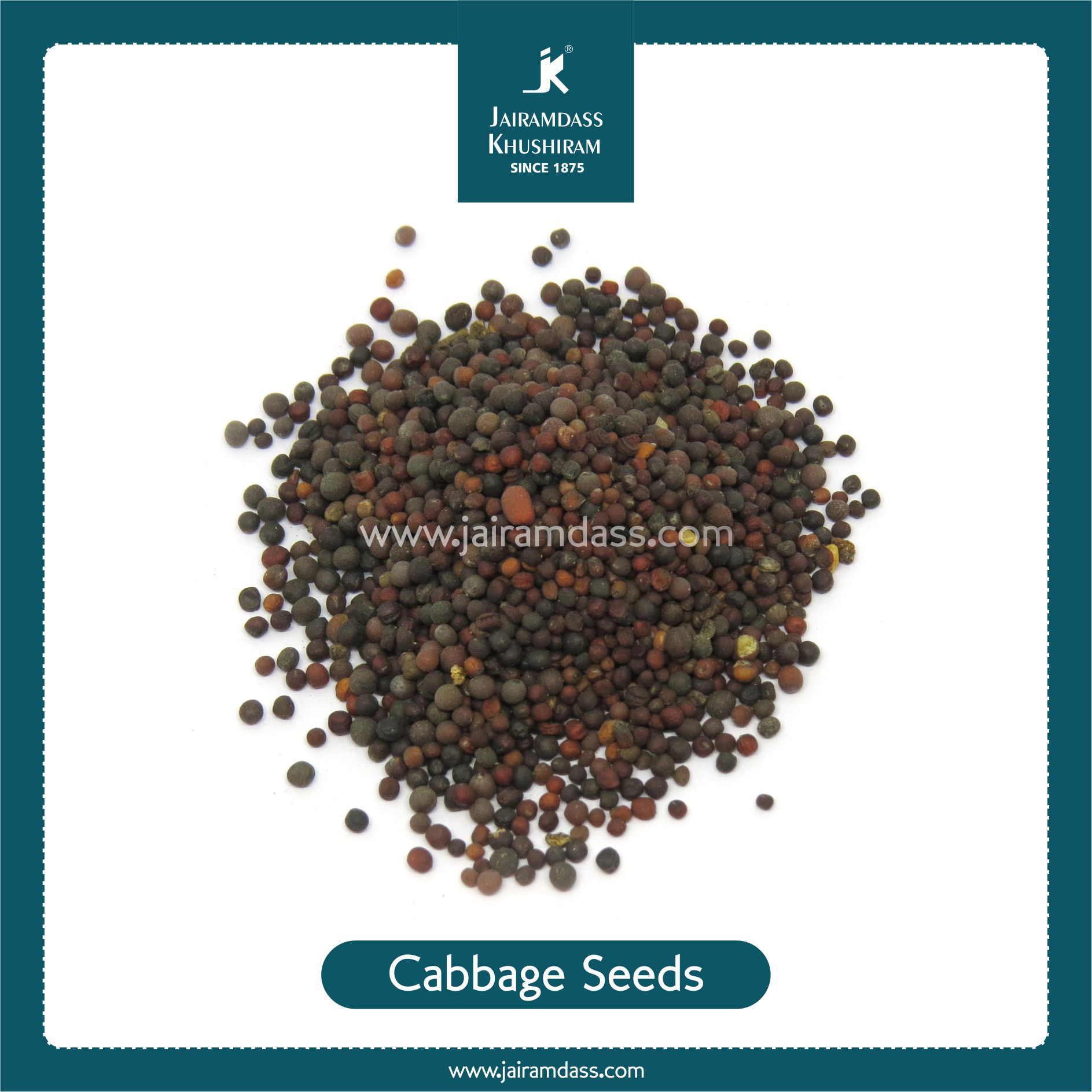 Cabbage Seeds