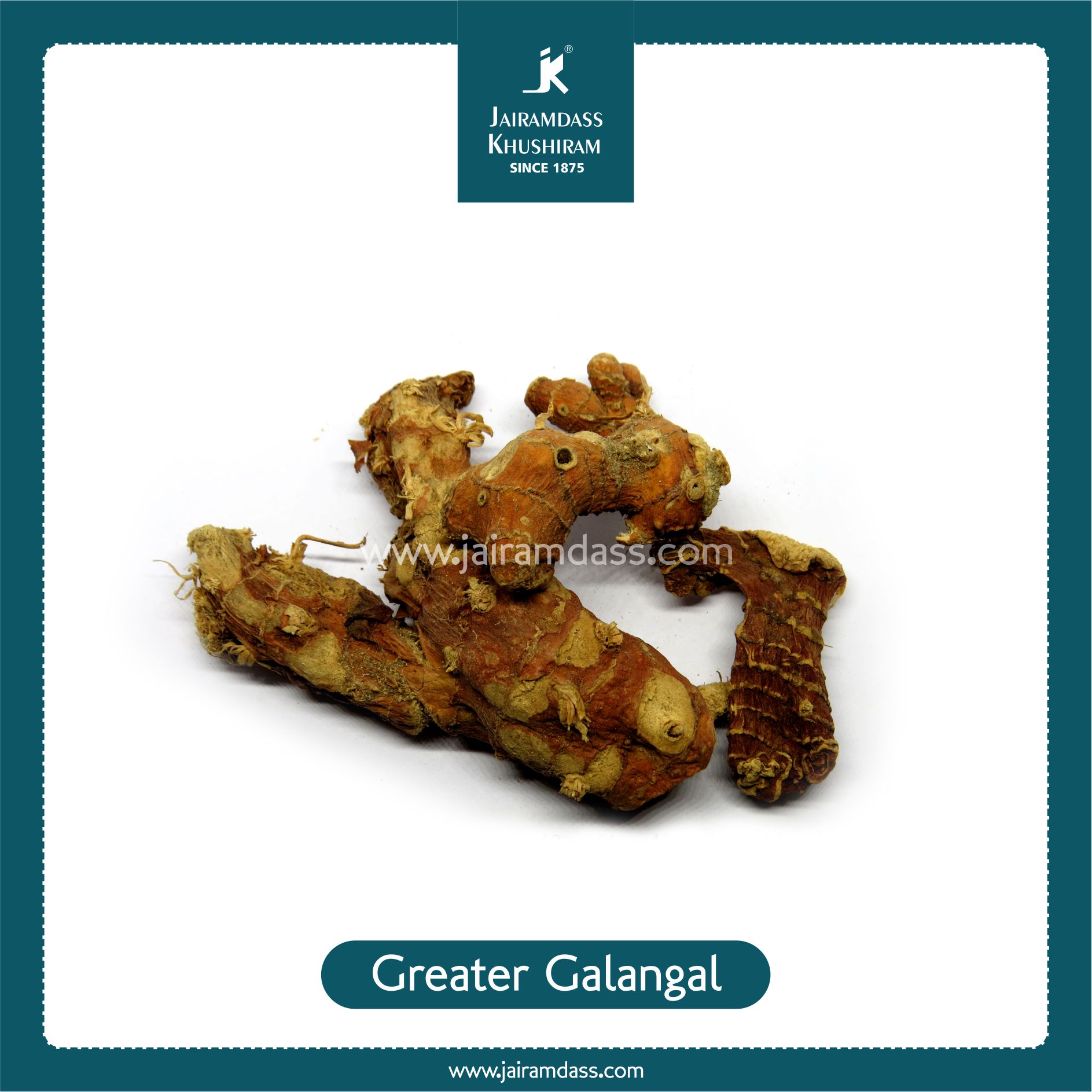 Greater Galangal Root