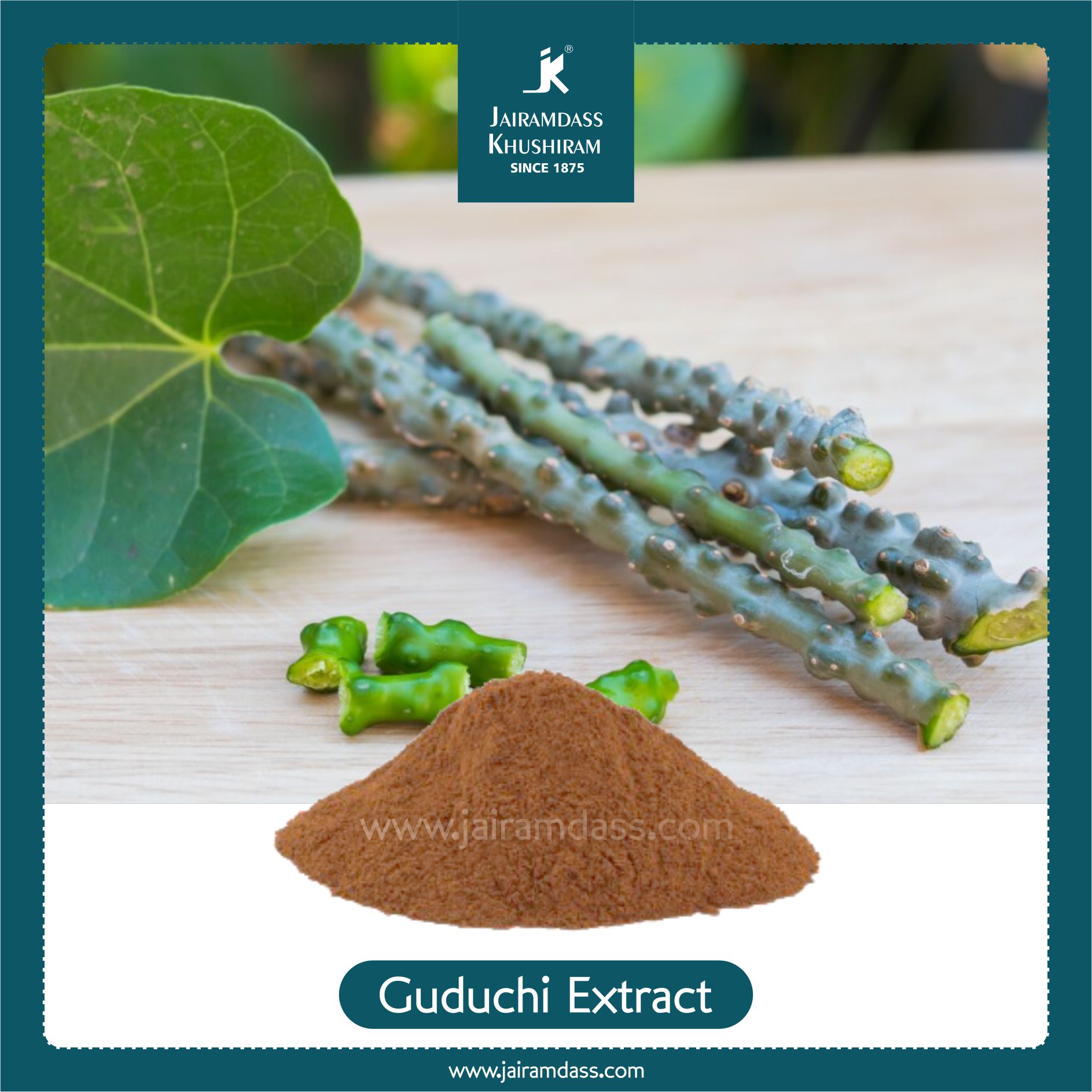 Tinospora Cordifolia (Guduchi) Extract