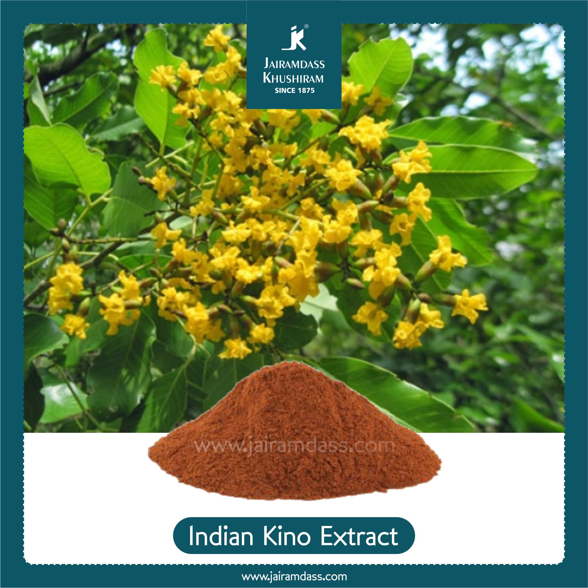 Pterocarpus Marsupium (Indian Kino) Extract