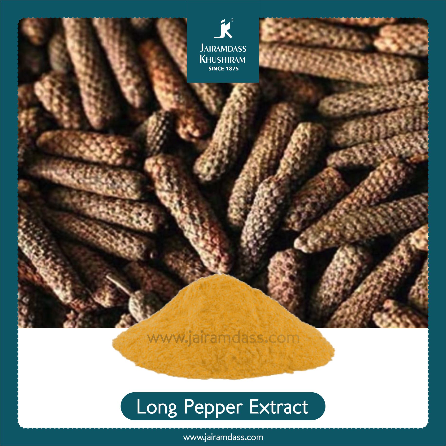 Piper Longum (Long Pepper) Extract