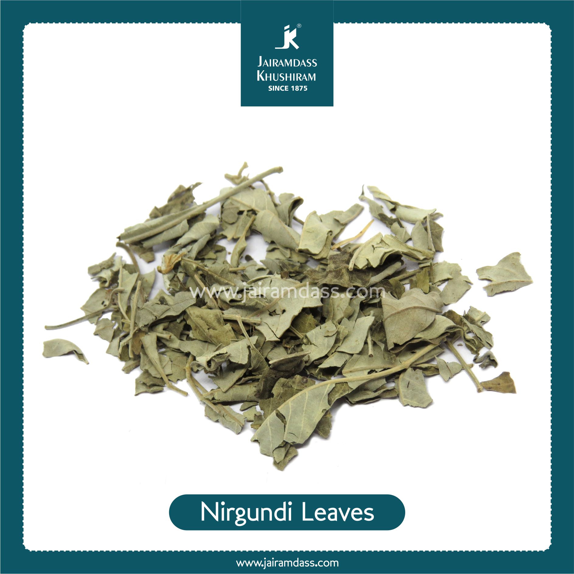 Nirgundi Leaves