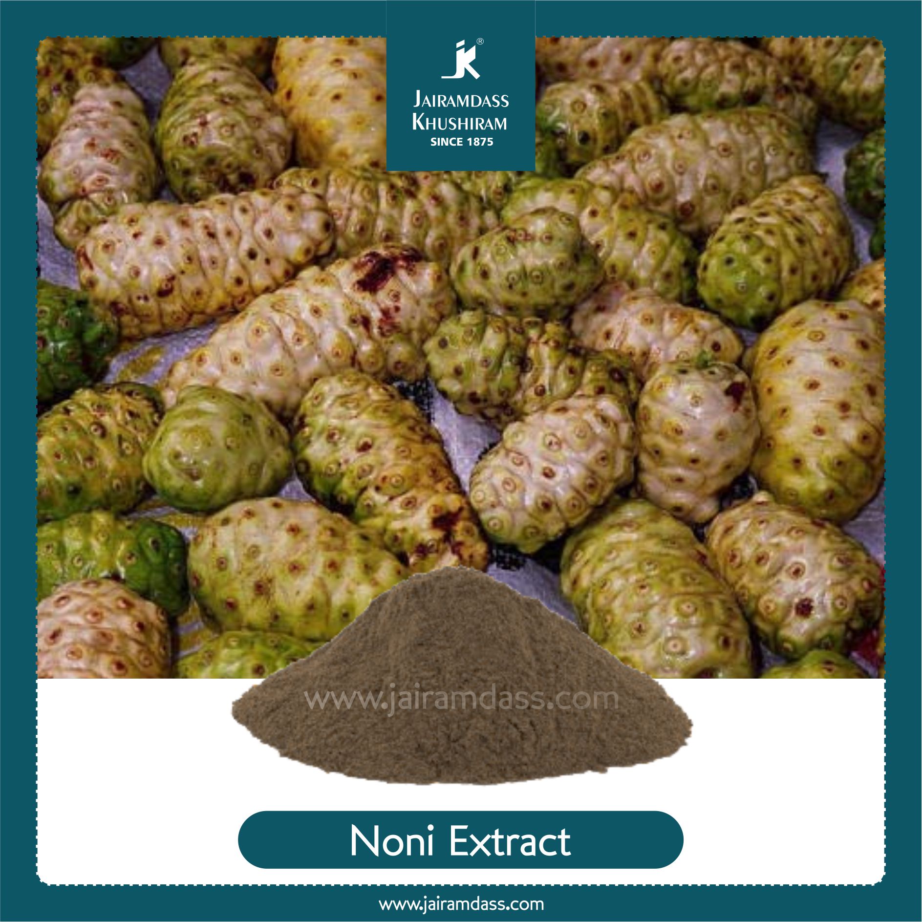 Morinda Citrifolia Extract